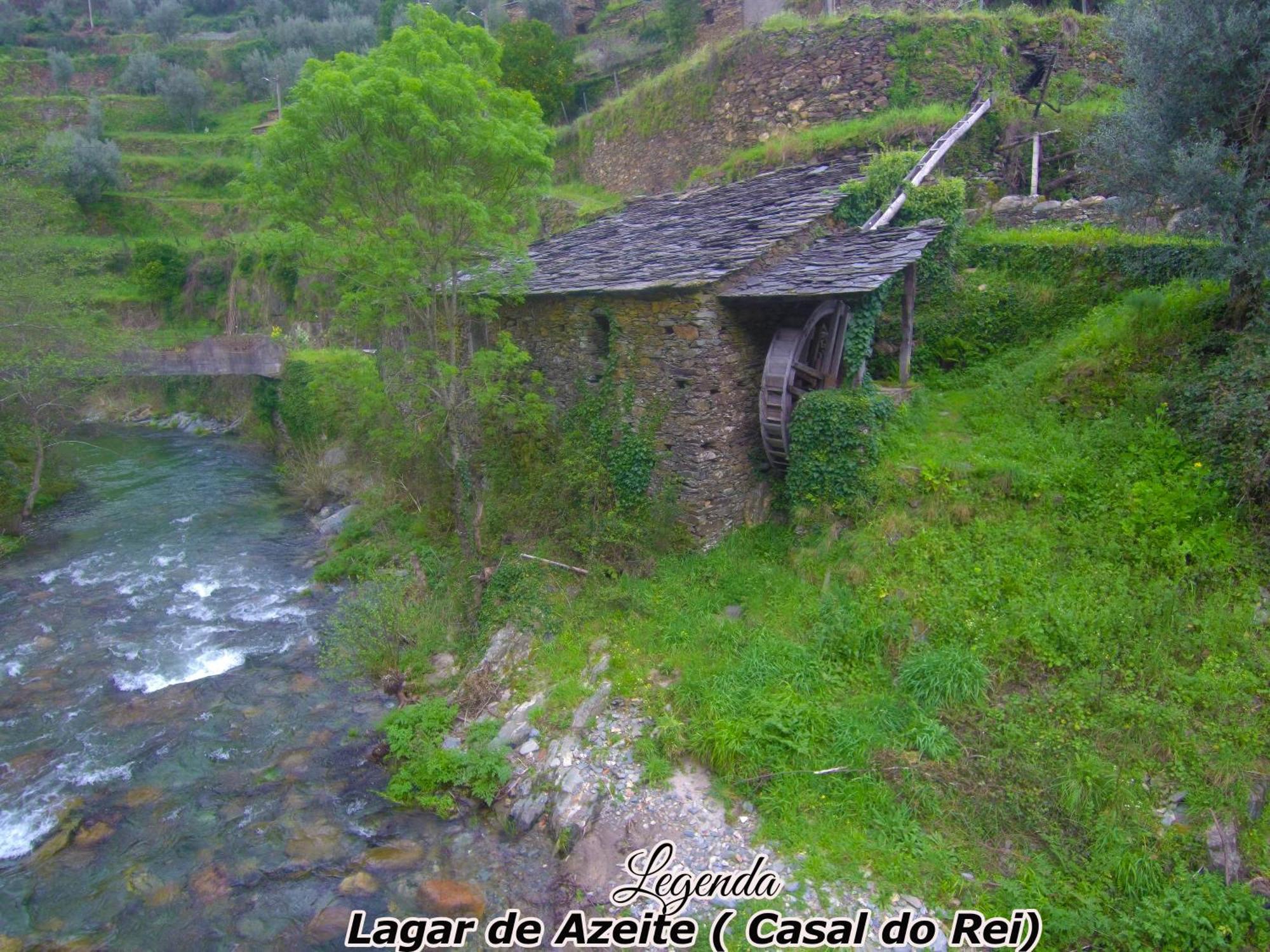 Casa Do Salgueirinho Villa Casal do Rei  ภายนอก รูปภาพ